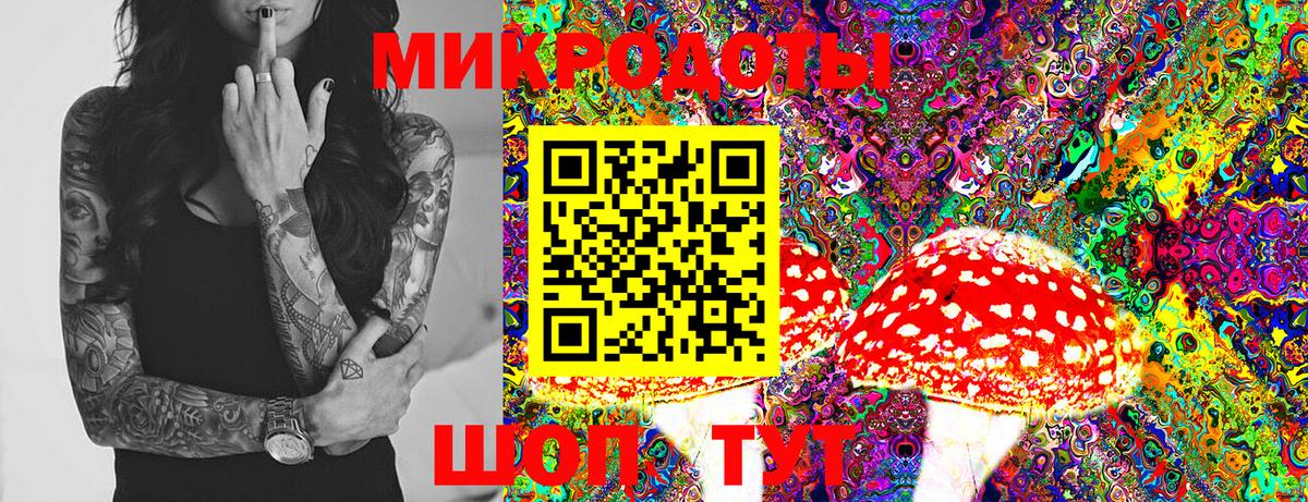 Ирбит  Псилоцибиновые грибы MAGIC MUSHROOMS  Вход с VPN 