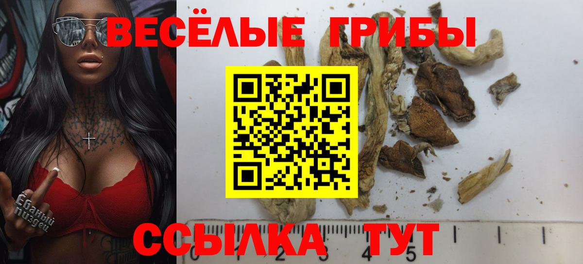 Галлюциногенные грибы ЛСД Ирбит